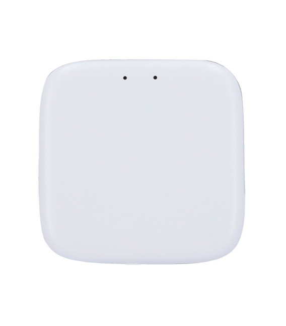 Connexion WiFi pour serrure intelligente ZKTeco ZKTeco ZK-GTSLG200