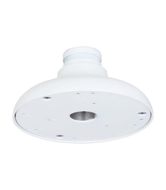 Soporte de Techo - PFA10C