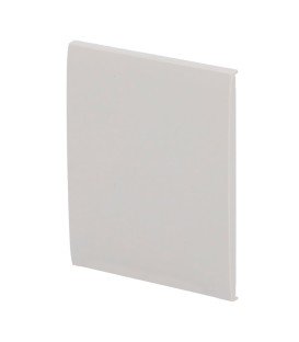 Panneau tactile pour interrupteur simple Ajax AJ-CENTERBUTTON-1G2W-OYS