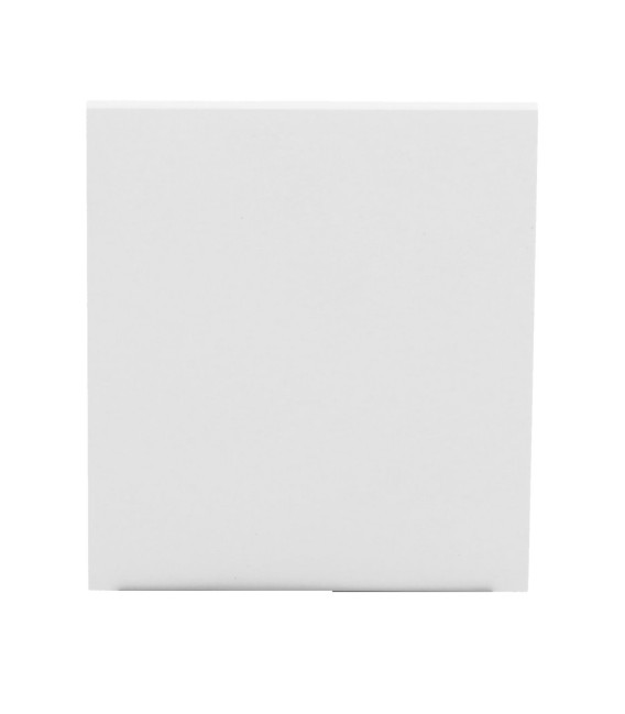 Panneau tactile pour interrupteur d'éclairage simple Ajax AJ-CENTERBUTTON-1G2W-W