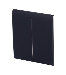 Ajax Double interrupteur d'éclairage panneau tactile AJ-CENTERBUTTON-2G-B