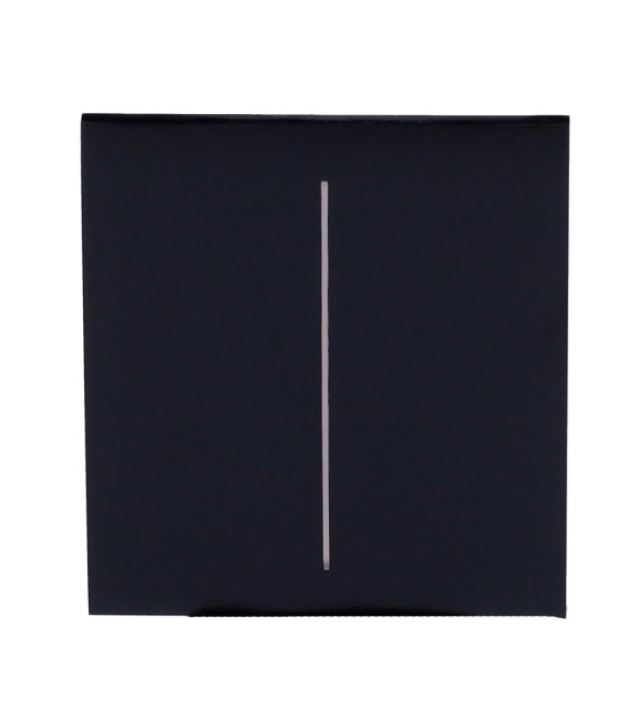 Ajax Double interrupteur d'éclairage panneau tactile AJ-CENTERBUTTON-2G-B