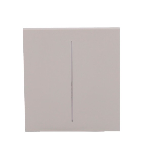 Ajax Double interrupteur d'éclairage panneau tactile AJ-CENTERBUTTON-2G-OLI