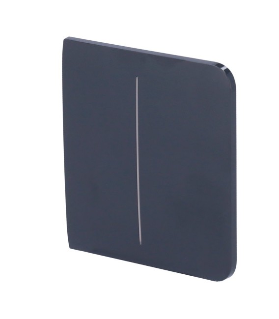 Panel táctil para interruptor de luz doble Ajax AJ-SIDEBUTTON-2G-GRA