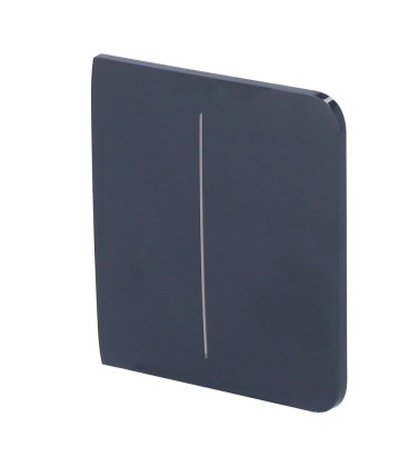 Painel de toque com interruptor de luz duplo Ajax AJ-SIDEBUTTON-2G-GRA