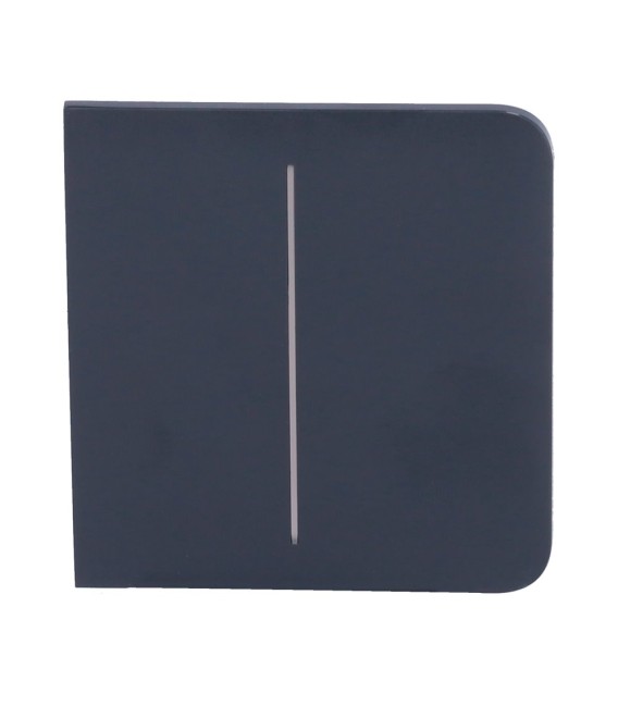 Ajax Double interrupteur d'éclairage panneau tactile AJ-SIDEBUTTON-2G-GRA