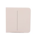 Ajax Double Light Switch Touch Panel AJ-SIDEBUTTON-2G-IVO
