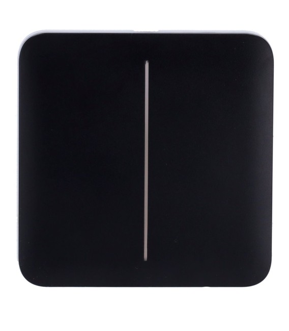 Ajax Double Light Switch Touch Panel AJ-SOLOBUTTON-2G-B