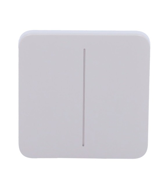 Ajax Double Light Switch Touch Panel AJ-SOLOBUTTON-2G-FOG