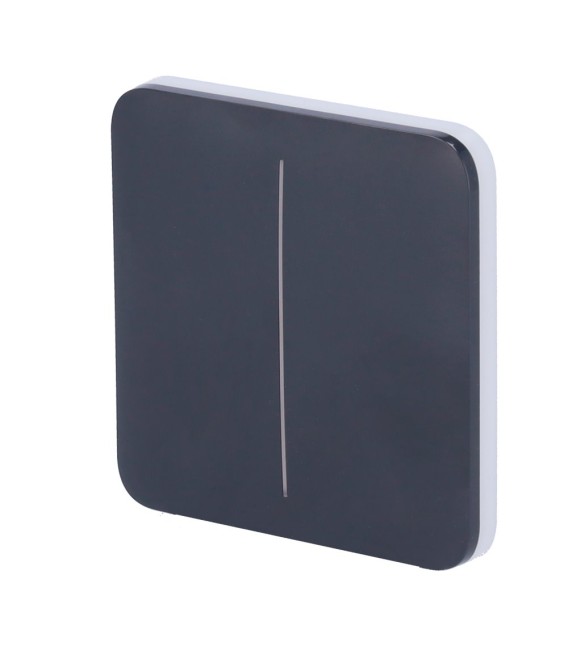 Ajax Double interrupteur d'éclairage panneau tactile AJ-SOLOBUTTON-2G-GRA