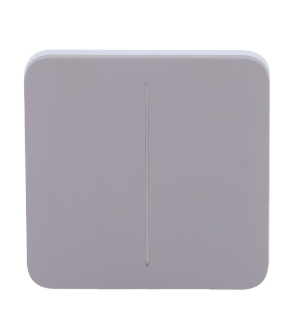 Panel táctil para interruptor de luz doble Ajax AJ-SOLOBUTTON-2G-GRE