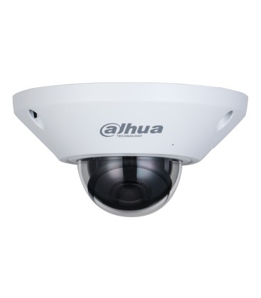 FishEye H265 5M DN WDR 1.4mm IK10 IP67 Audio SD PoE MIC E/S AI