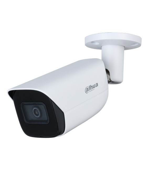 Tubular IP H265 5M WDR Starlight IR50m 3.6mm IP67 PoE SD AUDIO MIC E/S AI