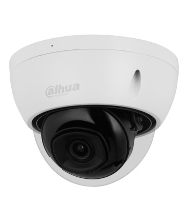 Domo IP H265 2M DN WDR Starlight IR30m 2.8mm IK10 IP67 PoE SD AI