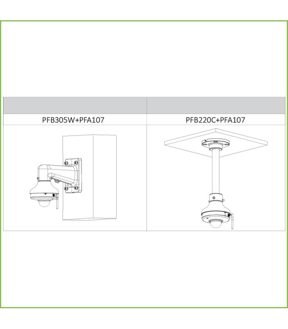 Domo PT IP 2M H265 Wifi DN ICR WDR Starlight 3.6mm 3D IP66 IK08 AUDIO