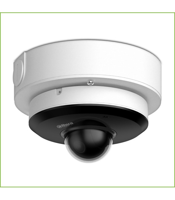 Domo PT IP 2M H265 Wifi DN ICR WDR Starlight 3.6mm 3D IP66 IK08 AUDIO