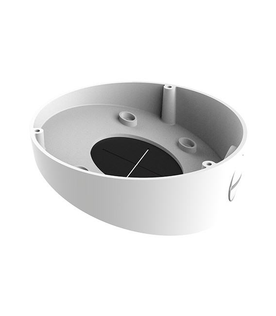 Tilted Ceiling Mount DS-1281ZJ-DM45