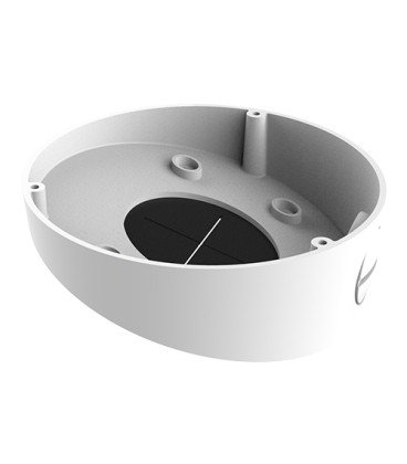 Tilted Ceiling Mount DS-1281ZJ-DM45