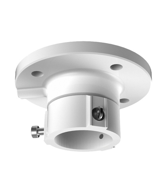 Support de plafond DS-1663ZJ