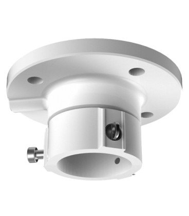 DS-1663ZJ Ceiling Mount
