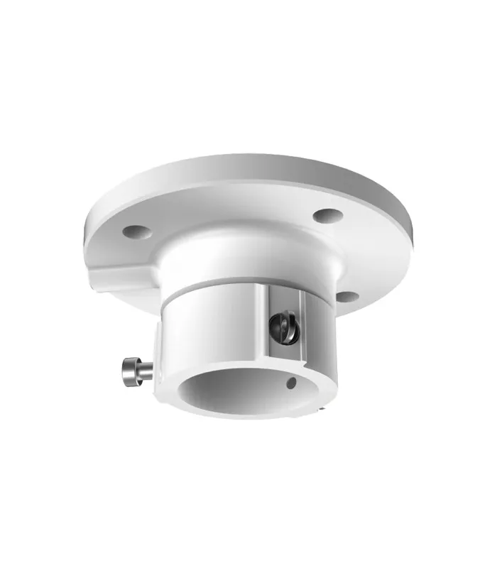 Support de plafond DS-1663ZJ